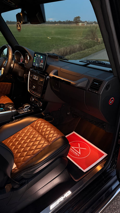 Lavarex FINISH Interior Floor Mats